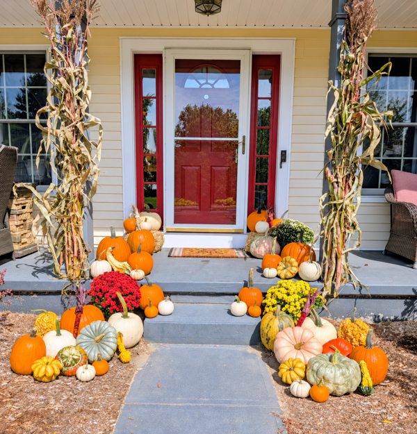 Fall pumpkins, mums and cornstalks arranged at a red-door porch