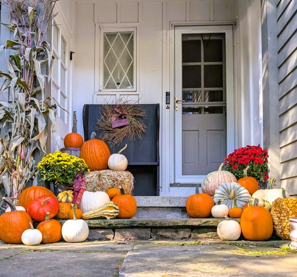 Fall pumpkins, mums and cornstalks arranged at a home entrance