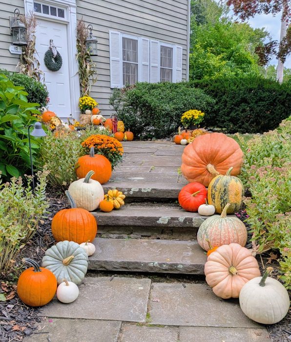 Fall pumpkins, mums and cornstalks arranged at a home entrance