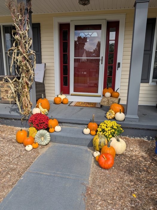 Fall pumpkins, mums and cornstalks arranged at a red-door porch